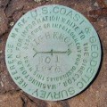 NGS Reference Mark Disk HIGH KNOB RM 1