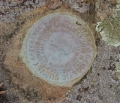 NGS Reference Mark Disk GEORGE RM 2