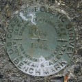NGS Bench Mark Disk K 284