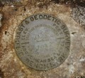 NGS Bench Mark Disk J 192