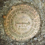 NGS Reference Mark Disk THROOP RM 1