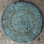 NGS Bench Mark Disk L 62