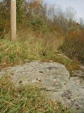 View NNE, showing the powerline pole.