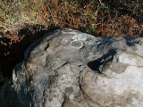 Eye-level view of the mark on the boulder.