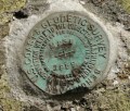 NGS Bench Mark Disk M 235