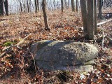 View of the boulder looking S.