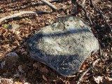 Eye-level view of the reference mark on the boulder.