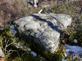 The boulder in wooded area near the park boundary.