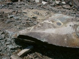 Eyelevel view of the mark on the damaged boulder.