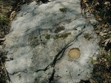 Eyelevel view of the mark on the boulder.
