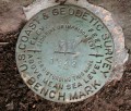 NGS Bench Mark Disk C 281
