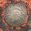 NGS Bench Mark Disk B 56