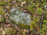 The small boulder still projects several inches above the ground. The bright blue disk was easy to spot. It's in good condition.