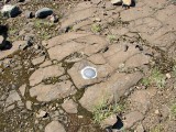 The disk is set in rock flush with the ground.