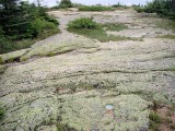 The disk is prominent on the bare rock.