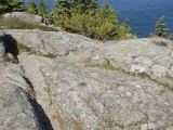 Eyelevel view of station disk on rock ledge.