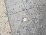 Eyelevel view of the disk on the sidewalk