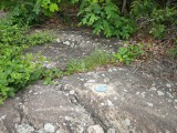 Eyelevel view of the disk on outcropping rock.