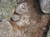 Eyelevel view of the bolt in bedrock, surrounded by stones.