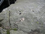 Eyelevel view of disk on outcropping.