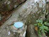 Eyelevel view of the disk on the rock outcrop.