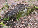 The entire 10' outcrop, RM indicated.
