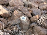 Eyelevel view of the disk set into a basalt boulder.
