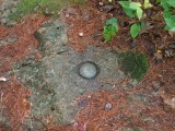Eyelevel view of the benchmark disk in rock ledge.