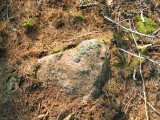 Eyelevel view of the bolt set into the rock outcrop.