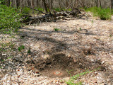 View of the area after excavating the mark