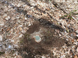Eyelevel view of the reference mark disk on the outcrop