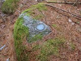 Eyelevel view of the disk on the boulder.