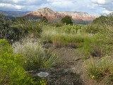 Looking toward some of the colorful rock formations of Sedona.