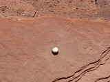 Eyelevel view of the disk set in the smooth trail surface.