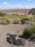 Painted Desert scene from another angle.