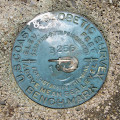 NGS Bench Mark Disk B 256