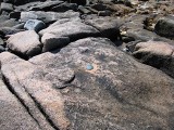 Eyelevel view of the topo disk set into the rock outcrop.