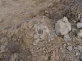 Eyelevel view of the disk among the rubble on the outcrop.