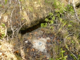 Eyelevel view of the disk on the rock outcrop next to drainage ditch.