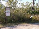 Location of monument near end of road and trailhead.