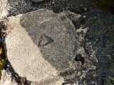 A carved triangle, also seen near the disk.