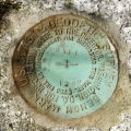 NGS Bench Mark Disk D 147