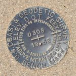 NGS Bench Mark Disk D 308