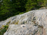 Eyelevel view of the disk on the rock outcrop