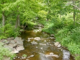 View along Fall Brook from the bridge