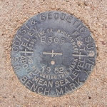 NGS Bench Mark Disk E 308