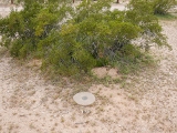Eyelevel view of the disk on the concrete monument