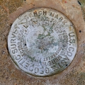 NGS Bench Mark Disk M 224