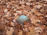 Eyelevel view of the disk on the concrete post